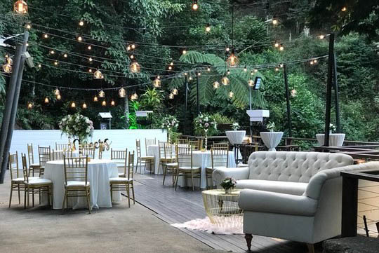 Wedding Reception